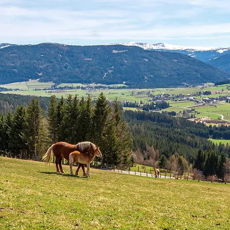 Daire Lenzlhof Mariapfarr