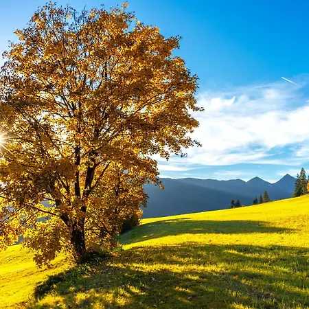 Lenzlhof Daire Mariapfarr