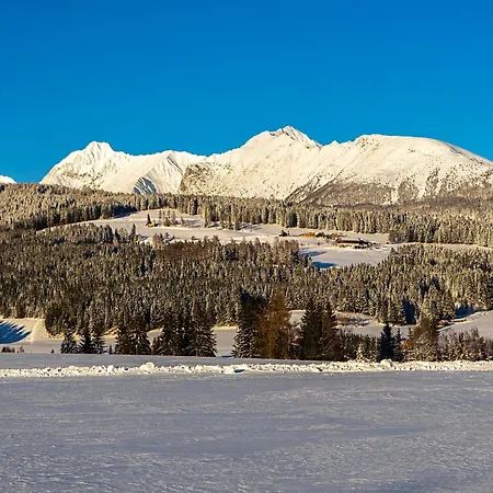 Daire Lenzlhof Mariapfarr