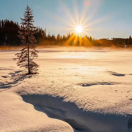 Lenzlhof 玛利亚普法尔