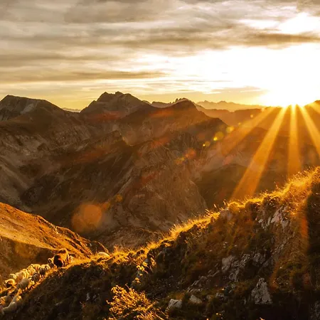 Lenzlhof * 玛利亚普法尔